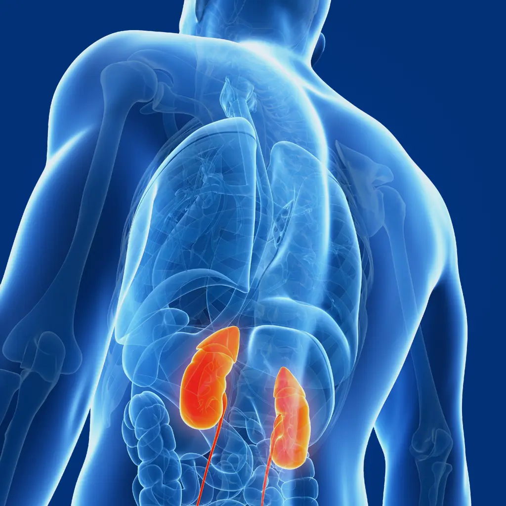 lifestyle disease chronic kidney disease page img