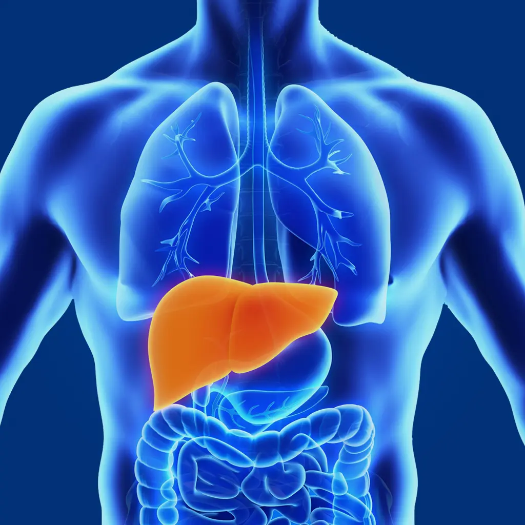 lifestyle disease liver page img 1